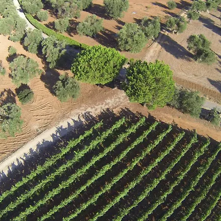 Tenuta Doxi Gallipoli