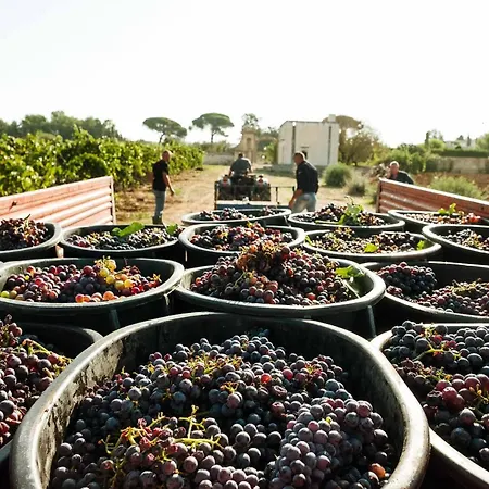Tenuta Doxi 3* Gallipoli
