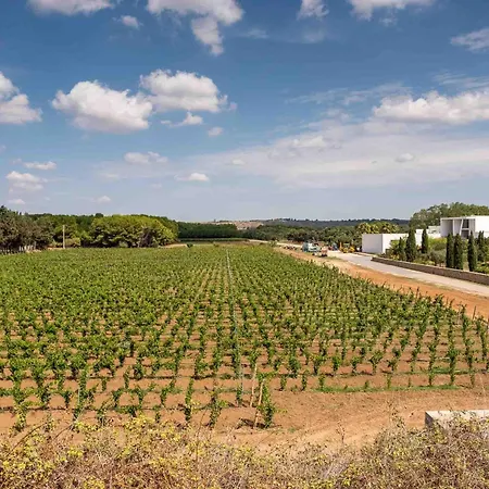 Tenuta Doxi Bed & Breakfast Gallipoli