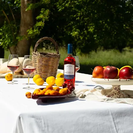 Bed & Breakfast Tenuta Doxi Gallipoli